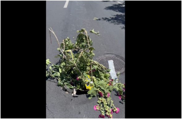 Էրեբունի վարչական շրջան Ռոստովյան 48 հերթական դիտահորի փլուզման դեպք (տեսանյութ)